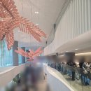 일월산 생수공장 앞 | 2025 컬리푸드페스타 방문기 마지막날 오후권 방문 솔직후기 꿀팁(행운의 여신이 나와 함께)