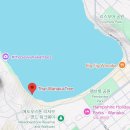 버드트리 | 와나카 트리 후기 실패? 방문 꿀팁 총정리