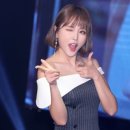 꽃돼지세상