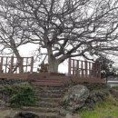 광령2리 복지회관 이미지