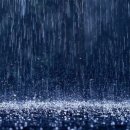 예일모터스 이미지