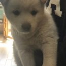 사연농장 이미지