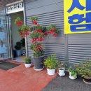 용인동백자동차운전전문학원