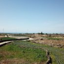 금등스테이199 이미지