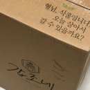 봄호프 | 식물 집사들 성지 갑조네 봄 식물 쇼핑 후기 몬스테라 호프셀렘 분갈이 해주기 키우는법