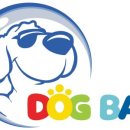 도그베이 이미지