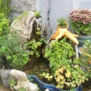 횟집아저씨 이미지