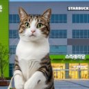 서브웨이 트레이더스 연산점 이미지