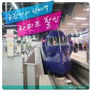 오사카 라피트 왕복권 할인 예약 간사이공항에서 난바역 난카이라피트