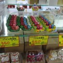 드래곤게임장 이미지