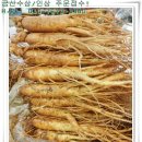 금산인삼 이미지