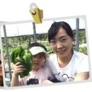 하도문쌈채마을 이미지