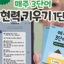 초등 글쓰기 이미지