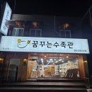 꿈꾸는수족관
