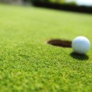 Hole in One(홀인원) 이미지
