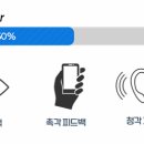 디자인알피그