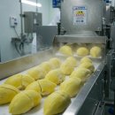 이안상사 이미지