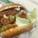 개꼬신내 | 땡일추카해 내자신🙂🩷 강릉으로 떠나 🚗💨💨 뿌뿌