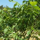 한일농약사 이미지