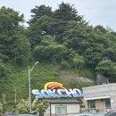 풍년식당 | [속초] 풍년식당 내돈내산 솔직 후기 ; 아침식사 맛집 주차 웨이팅 메뉴 강력추천