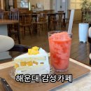 해운대구청 정문, 후문 | [해운대 감성카페 추천] 디저트가 정말 맛있는✨ 우드톤 인테리어의 보노베리 해운대점 |넓은 단체석 완비된