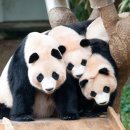 옹기종기 이미지