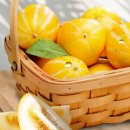 종암농장 이미지