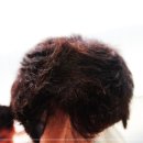 하트모