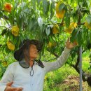 비사벌농장 이미지