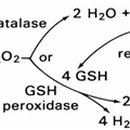 에너지약국 이미지