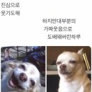 도그마캣구로 | 우리에게 주어진 오늘 하루는 선물입니다