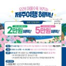 제주M.L.S