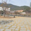 대흥행정사 이미지