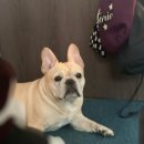 어린이대공원 제9호 | 긴긴 연휴가 끝이 났다고라?