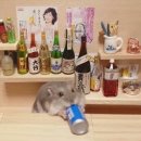 씨유(CU)운정센트레빌점 | CU 3캔 행사 12,000원 첫사랑 hazy IPA 캔 후기