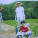 요정농장 이미지