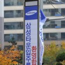 강남새약국 이미지