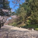 봉정사&만휴정테마 | 뚜벅이 안동 여행 1편 시티투어버스 - 월영교, 낙강물길공원