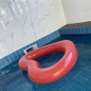 미아니아 이미지