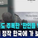 미국사는 검머외들 한국으로 역이민이 유행한단다 이미지