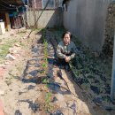 제일이용소 이미지