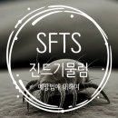 지혜내과의원 이미지