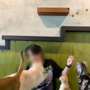 고양이네 생선가게 이미지