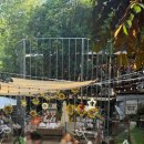 블루썬데이 이미지