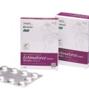 정바이오메디칼 이미지