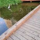 하얀마을어린이공원 이미지