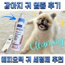 버박코리아(주) | 강아지 귀 염증 에피오틱 귀 세정제 추천 후기