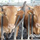 튼튼수정소 이미지