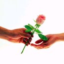 농협독산지점 이미지