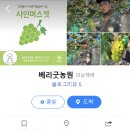 베리굿농원 - 고령군 반룡사길 68 | 베리굿농원
